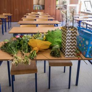 Dzieci nie powinny być nagradzane za wyniki w nauce? "Marysia płakała przez kilka dni"