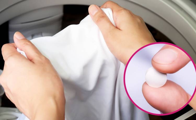 fot. shutterstock.com