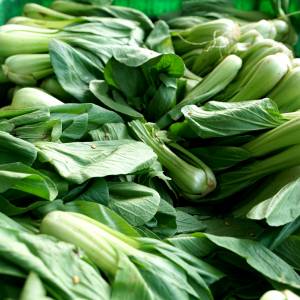 Czy warto jeść pak choi? Polacy często omijają ten produkt!