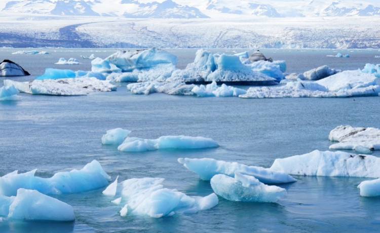 Usiadła na "lodowym tronie" i odpłynęła: "Zawsze chciałam być królową. Dostrzegłam swoją szansę"