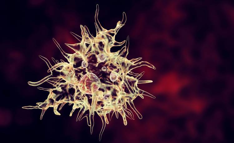 Przeżył spotkanie z "mózgożerną" amebą. Opowiedział, co się stało