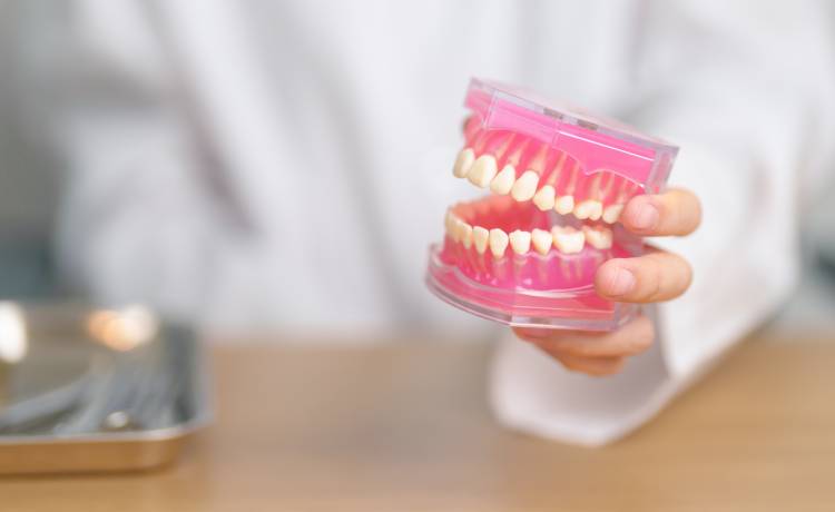 fot. shutterstock.com