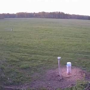 Wilki atakują stado dzików. Finał zaskakuje: "Ale akcja"! [WIDEO]