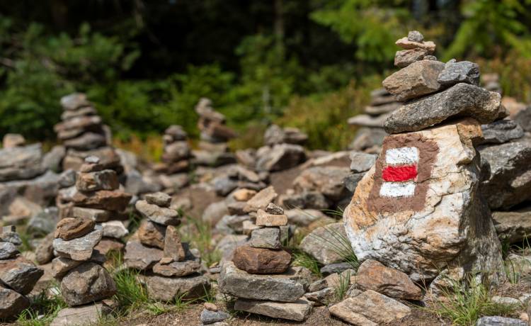 Wielu turystów o tym nie wie! Kolory szlaków mają znaczenie...