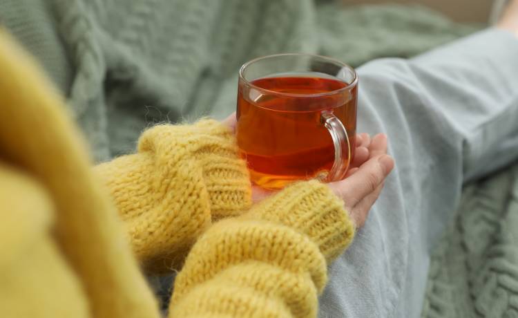 fot. shutterstock.com