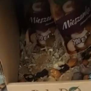 Szczury w Biedronce? Pojawiło się szokujące nagranie. Sieć komentuje  