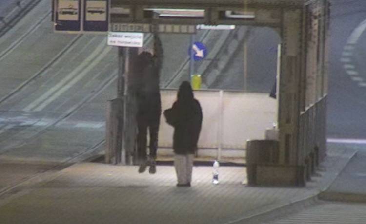 Straż Miejska nie poleca "takich numerów". Z przystanku skradziono numery linii [WIDEO]