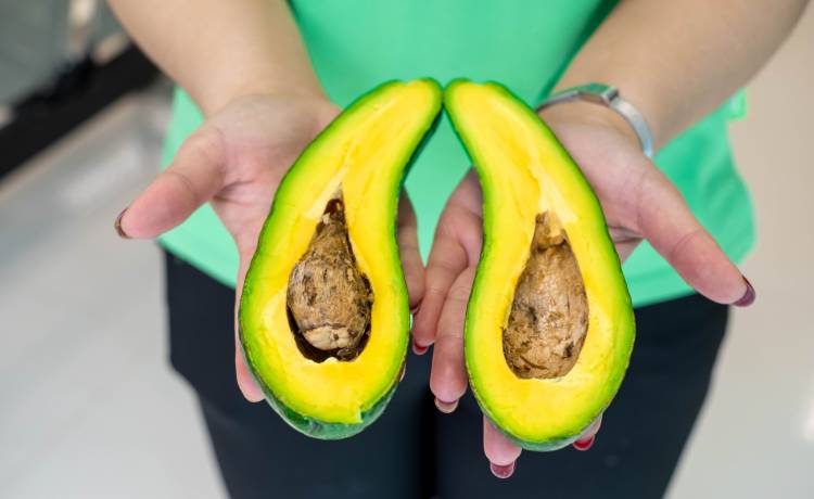 fot. shutterstock.com