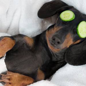 5 prostych sposobów na redukcję stresu! Jak zrelaksować się w kilka minut? 