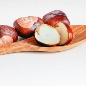 Sprzedaż kasztanów. Jakie są ceny za kilogram?