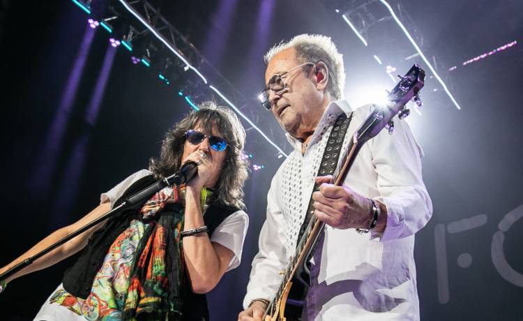 Brandon Nagy/Shutterstock