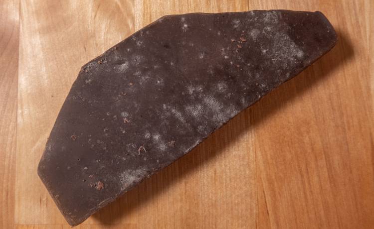 fot. shutterstock.com