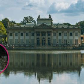 Tajemniczy lokator w sercu Warszawy. To pierwszy borsuk w Łazienkach Królewskich