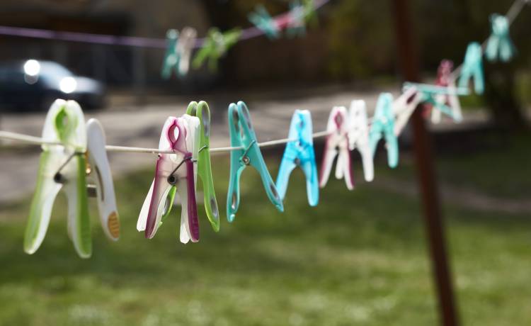 Pranie rozwieszone na suszarce. Zaskakujące odkrycie wrocławskich leśników [FOTO]