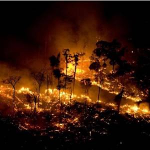 Amazonia. Od trzech tygodni płonie las deszczowy
