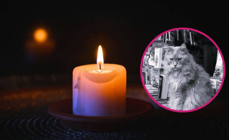 Shutterstock,ABC Warszawy Mazowsza/Facebook