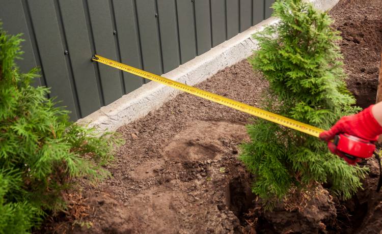 fot. shutterstock.com