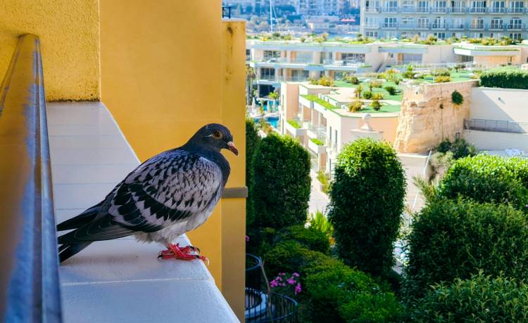 fot. shutterstock.com 