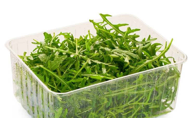 GIS ostrzega! Salmonella w rukoli. Produkty wycofane z popularnych sklepów