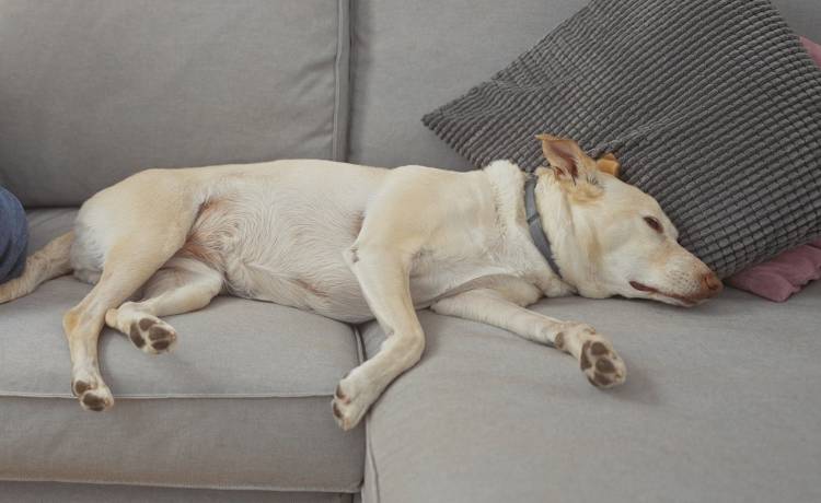 fot. shutterstock.com