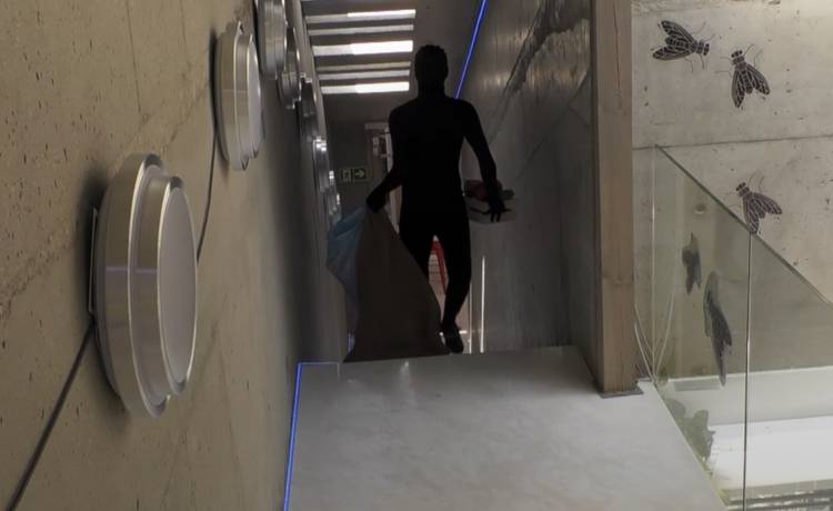 "Big Brother". Złodziej wszedł do domu Wielkiego Brata. Zostawił mieszkańców bez niczego!