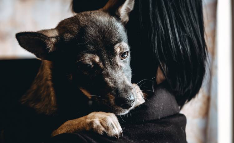 fot. shutterstock.com