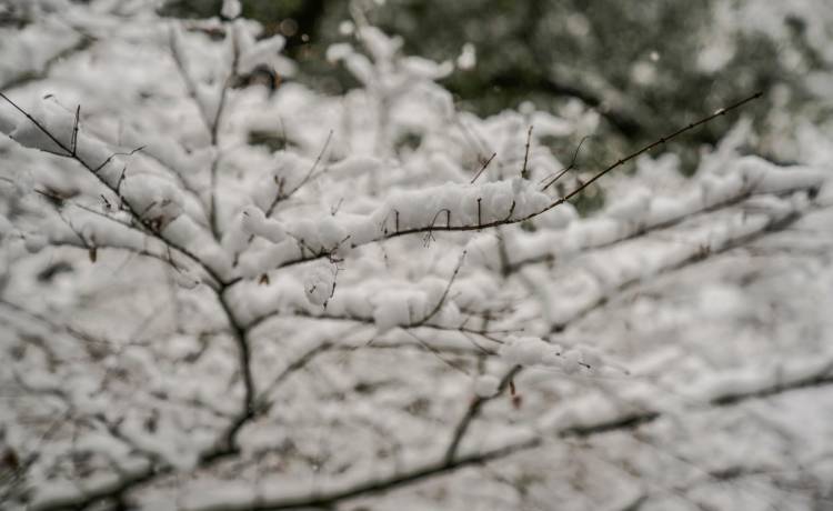 Zima powróci w najbliższych dniach? Trzeba przygotować się na jedno