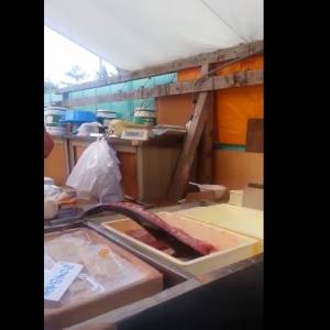 Ten filet OŻYŁ! Jak to możliwe?