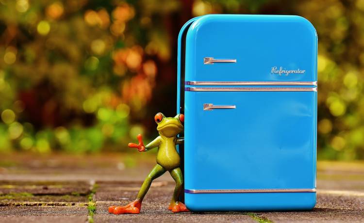 Fot. Materiały prasowe