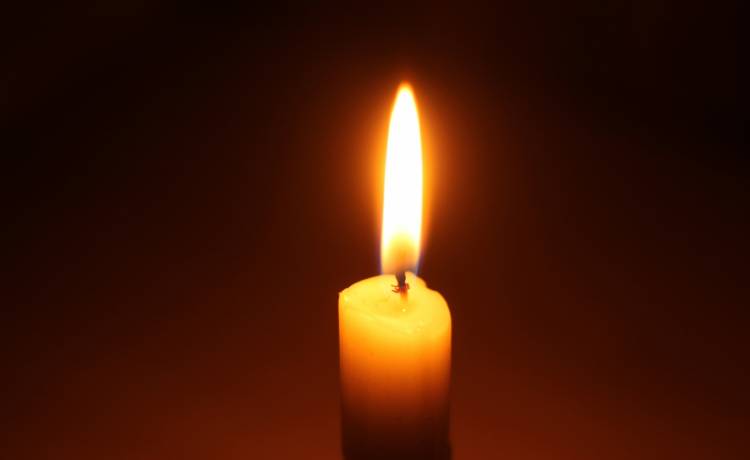 Nie żyje Izabela Grochowina. Koń kopnął 23-letnią amazonkę w głowę                                                                                        