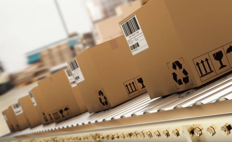 zdjęcie ilustracyjne, fot. Shutterstock/vectorfusionart