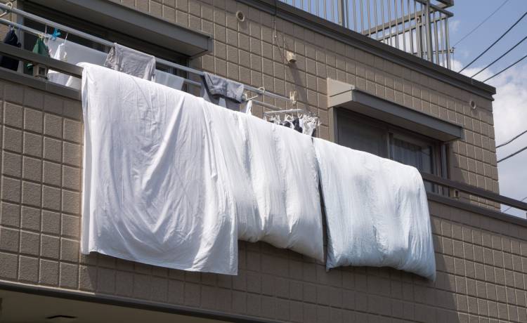 fot. Bo_Bo/Shutterstock