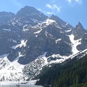 Smutny koniec bobra znad Morskiego Oka. Zwierzę nie żyje. "Tak oto bóbr Szpiglasik stał się legendą" [WIDEO]