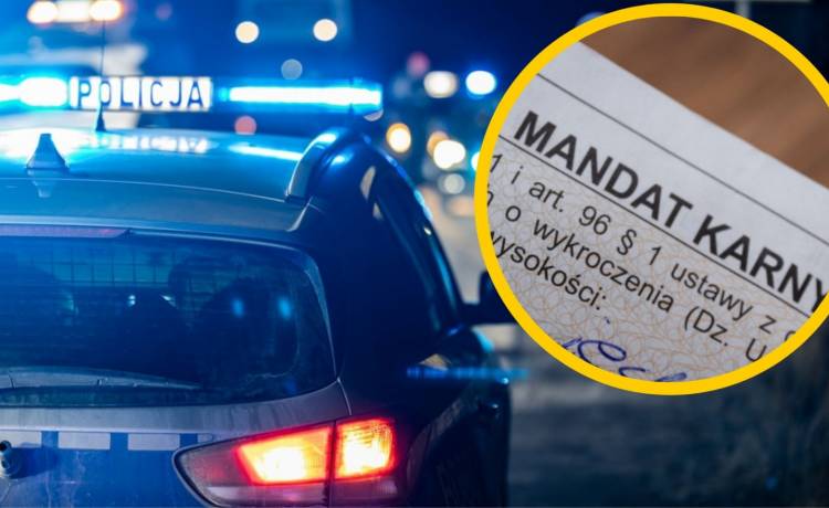 fot. Shutterstock/FotoDax, Riccio da favola