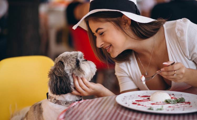 Czy można wejść z psem do sklepu lub restauracji? Sanepid zabrał głos