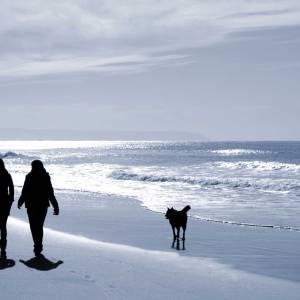Nie tylko zimowe spacery po plaży – jak spędzić czas w Gdyni zimą?