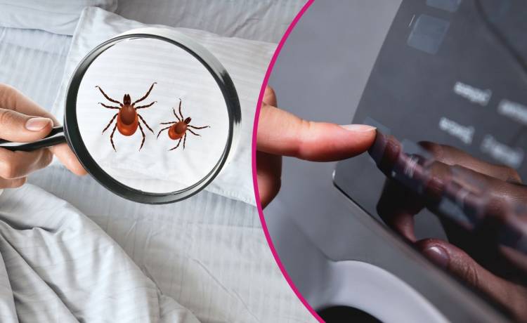 fot. shutterstock.com