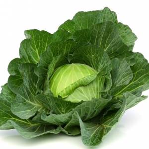 Młoda, biała kapusta wycofana ze sprzedaży przez Lidl. Sprawdź, czy nie kupiłeś tej partii