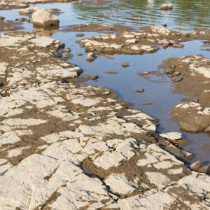 Niski poziom wody odsłonił wojenne wraki. Skutki suszy widoczne gołym okiem! [FOTO]