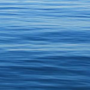 "Nie ma fal" w zaskakującej wersji. Licealiści nagrali cover i teledysk do przeboju Dawida Podsiadły 