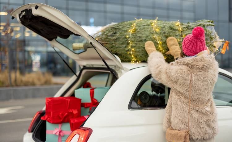 Chcesz przewieźć choinkę? Na to uważaj, możesz dostać mandat