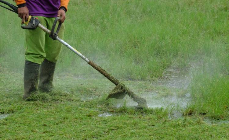 fot. shutterstock.com