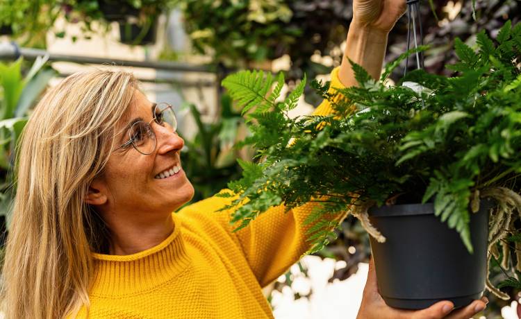 fot. shutterstock.com 