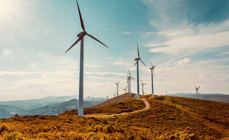 Polska gorsza od sąsiadów. Ranking państw najbardziej przyjaznych środowisku