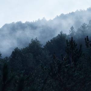 Pamiętasz góry z filmu "Avatar"? Powstały nie w filmie, a dawno temu w Chinach! [ZDJĘCIA]