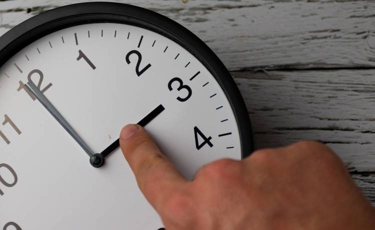 fot. Mehes Daniel/Shutterstock