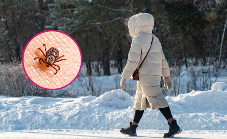  kzww, Kamrad71/Shutterstock