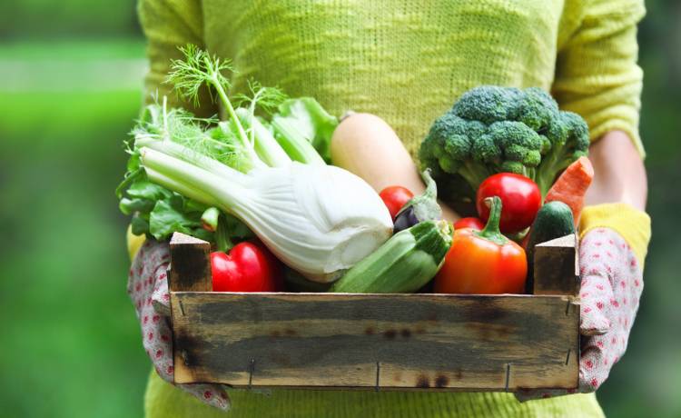 Niedługo zrobimy zakupy w sklepie państwowym? "Warzywniak plus" jest w planach rządu