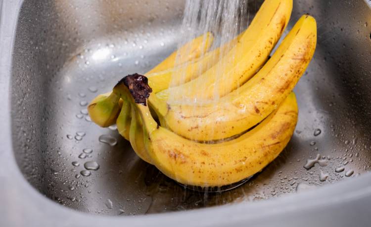 fot. shutterstock.com