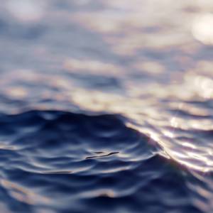 Rekin-mutant z ludzką twarzą wyłowiony! Zdjęcia przerażającego stworzenia trafiły do sieci [FOTO]